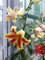 Foto: Dr. Peter Müller